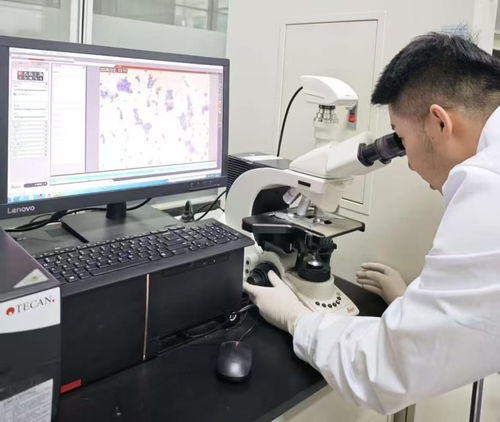 38.97亿刷新纪录！呼和浩特科创成果转化跑出“首府速度”