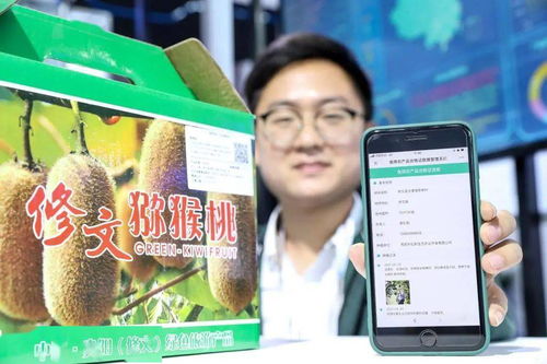 大数据助力乡村振兴的技术服务路径与实践